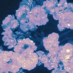 玉女心经之极乐宝鉴如如免费观看
